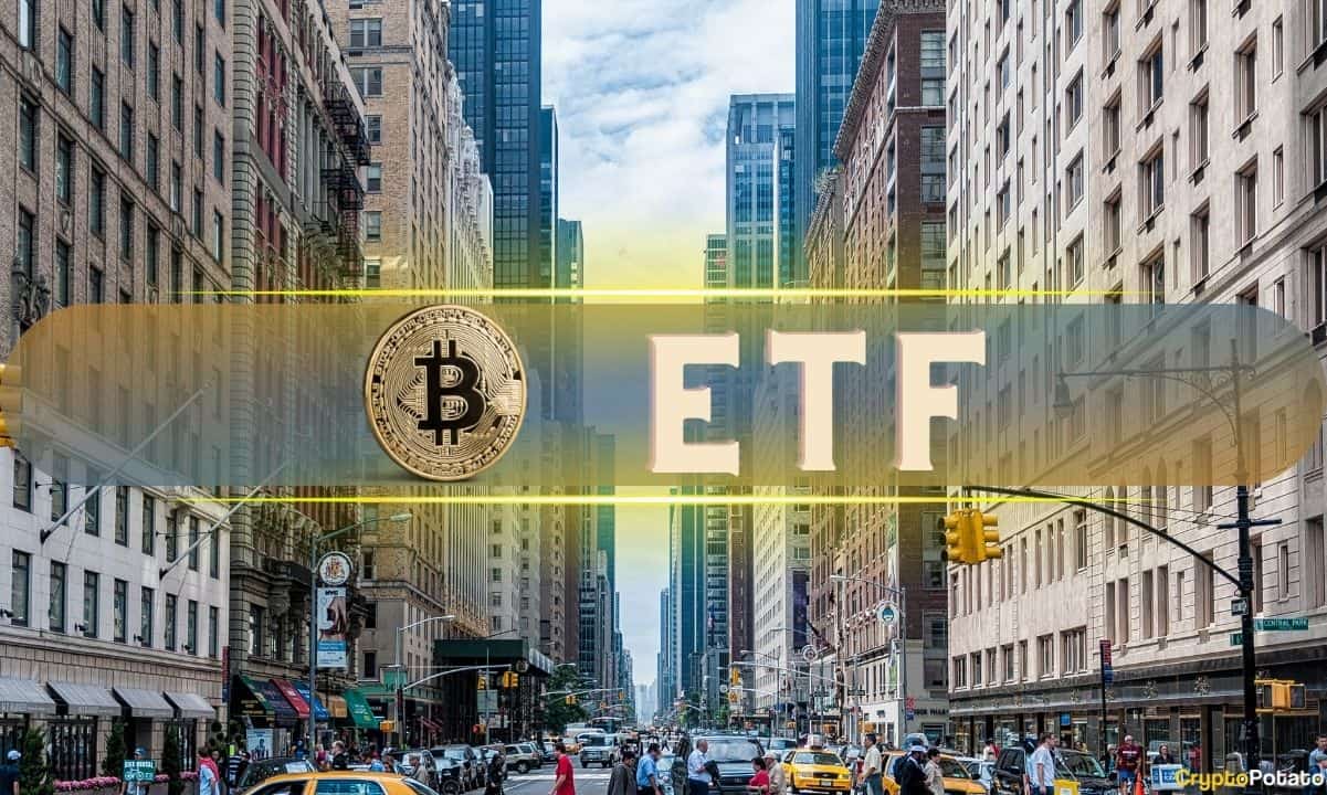 İşte Yatırımcılar Spot Bitcoin ETF Giriş ve Çıkışları Konusunda Neden Duygusal Olmamalı: Analist