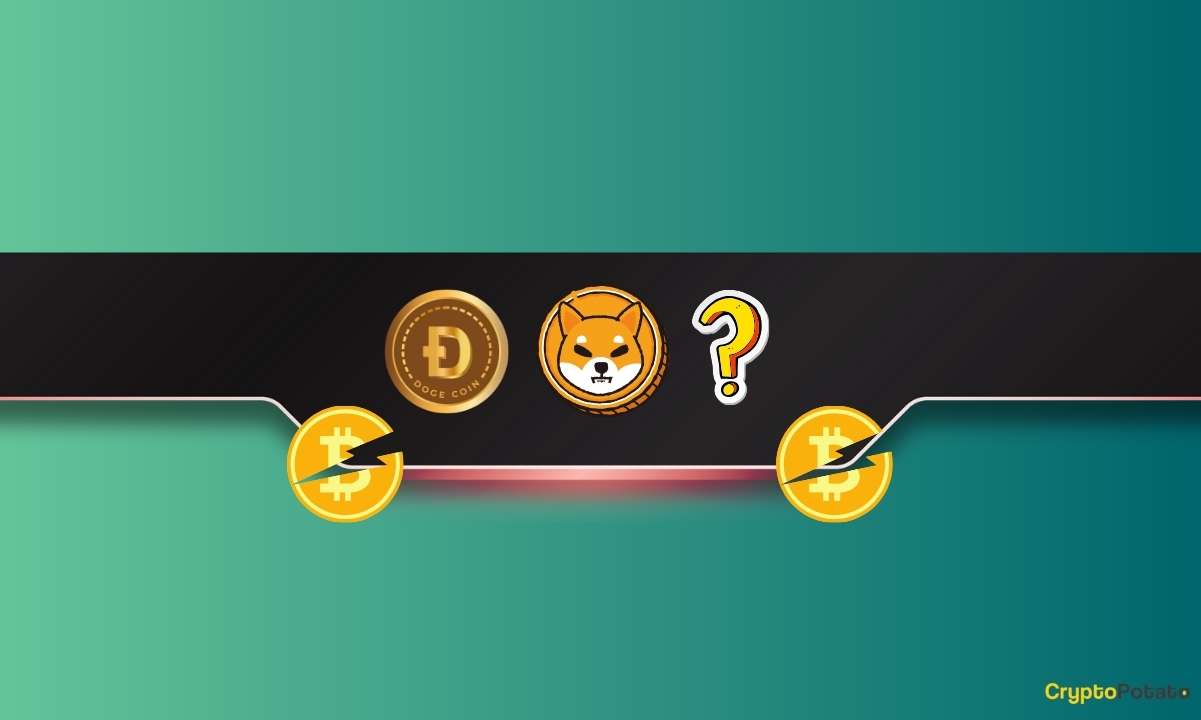 ChatGPT, Bitcoin (BTC) Halving’den Sonra Hangi Meme Coin’in En İyi Performansı Göstereceğini Analiz Ediyor