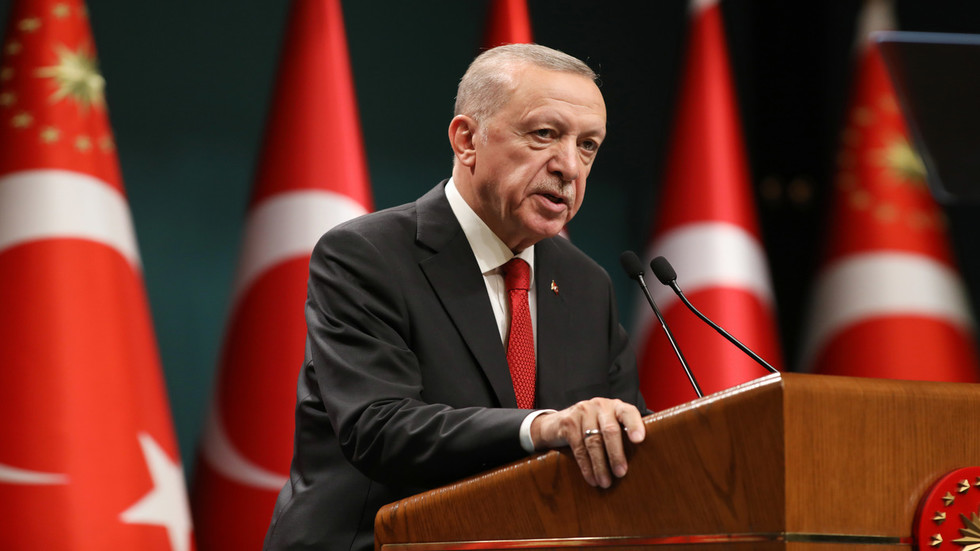 Erdoğan’ın gitmesini kim istiyor?  — RT Dünya Haberleri